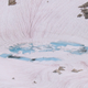 ‘Watermelon snow’ is a common sight in Alpine glaciers in the late spring and summer. Image: Wikimedia